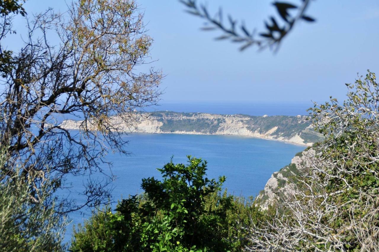 Villa Meli Afionas Corfu מראה חיצוני תמונה